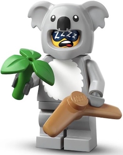 Koala